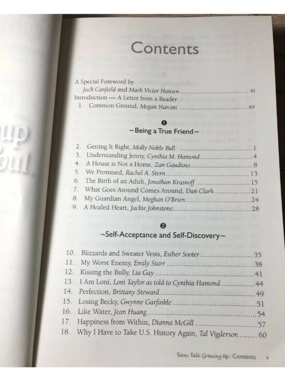 Chicken Soup for the Soul Teens Talk Growing Up 101 Stories Book Jack Canfield